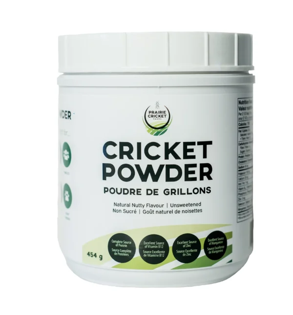 Protein-Packed cricket powder