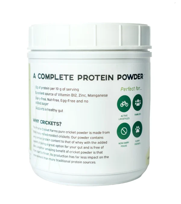 Protein-Packed cricket powder