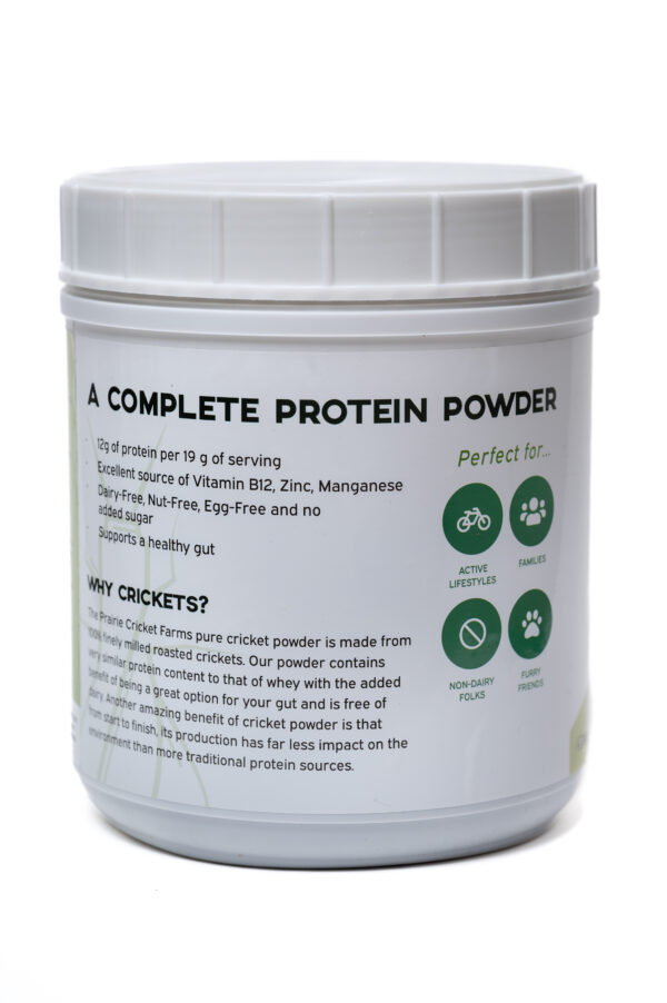 Protein-Packed Cricket Powder - Image 5