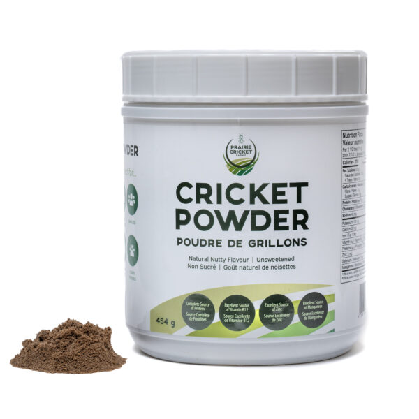 Protein-Packed Cricket Powder