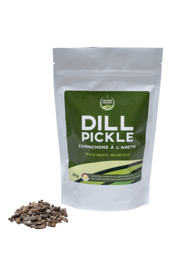 Dill Pickle Roasted Crickets